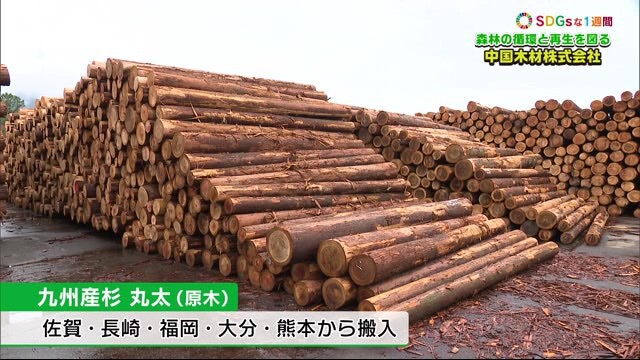森林伐採をしている会社がSDGｓな取り組み？ 「中国木材株式会社 