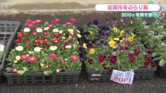 花の苗