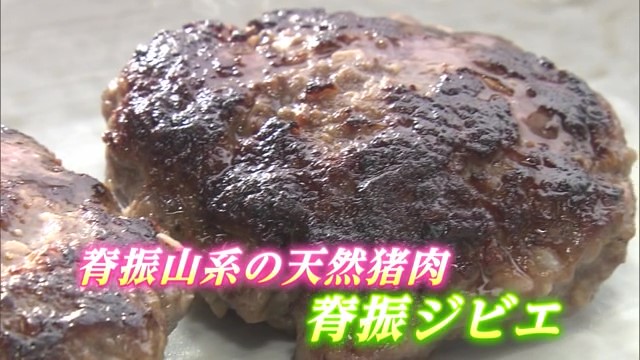 脊振山系の天然猪肉「脊振ジビエ」