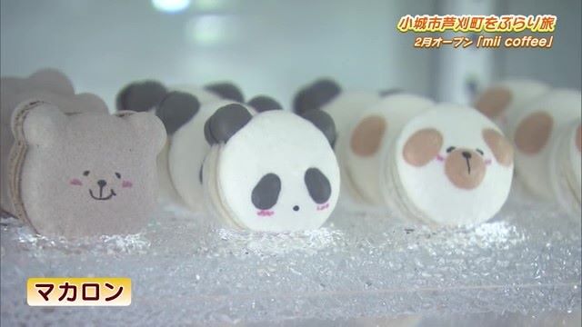 可愛いらしいお菓子がいっぱい！小城市芦刈町のカフェ「mii coffee」Part.1