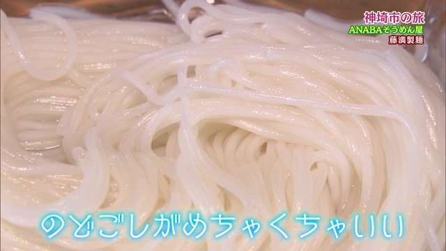 神埼そうめんの美味しさにビックリ！神埼市千代田町の製麺所「藤満製麺」