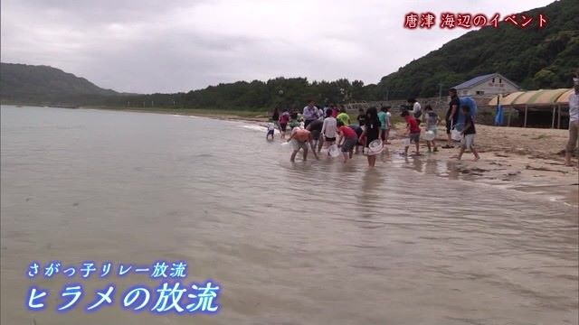 あの日へ時間旅行 唐津市「子供たちがヒラメの稚魚放流」【2016年】