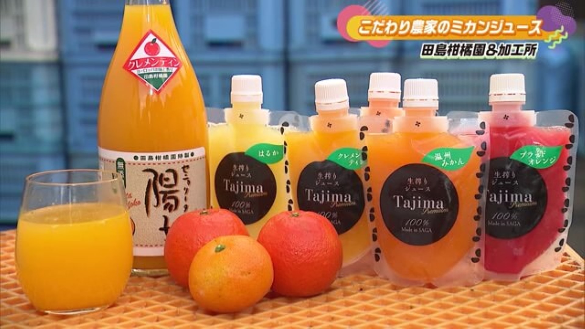 おいしい果汁だけを絞った 贅沢なミカンジュース！「田島柑橘園&加工所」
