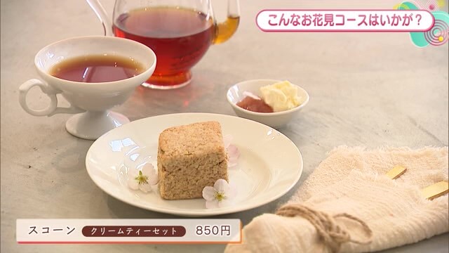 癒される空間でティータイム♪有田町の国産紅茶・発酵茶専門店「紅と香」