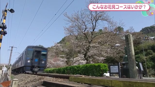 桜と電車と神社を一度に見られる！有田町「陶山神社」