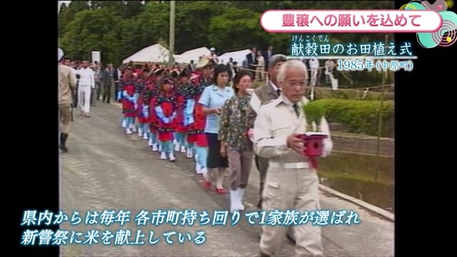 時間旅行EXPRESS 新嘗祭に献上する米の「献穀田のお田植え式」中原町【1985年】