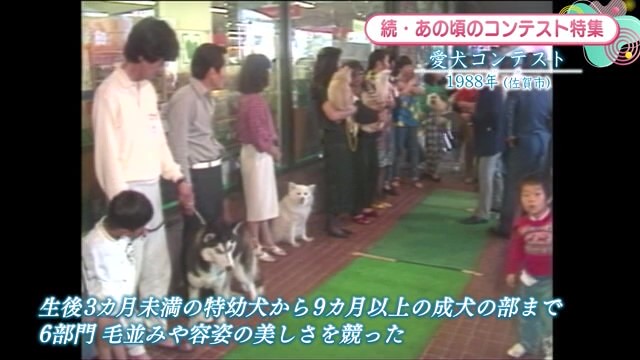 時間旅行EXPRESS 愛犬の毛並みや容姿の美しさを競う 佐賀市「愛犬コンテスト」【2004年】