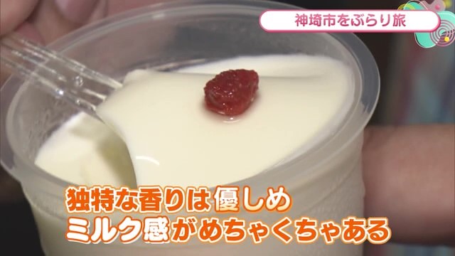 150円のプリンと杏仁豆腐が人気！「おかしのいえ ひかり」【佐賀県神埼市】