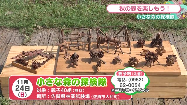 秋の森で冒険しよう！親子で楽しむイベント「小さな森の探検隊」