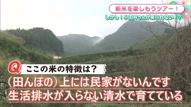 生活排水が入らない清水で育てたお米"蕨野の棚田米"