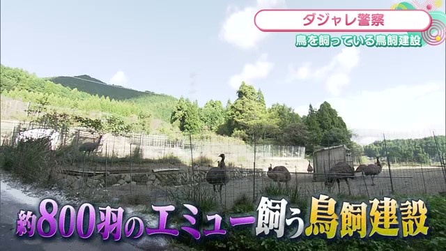 建設会社が手がけるエミュー飼育 佐賀県基山町「鳥飼建設」