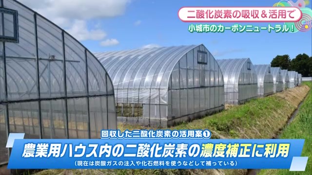 小城市が挑戦！二酸化炭素を"集めて使う"新しいカーボンニュートラルの取り組み