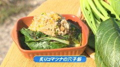 炙りコマツナの穴子飯