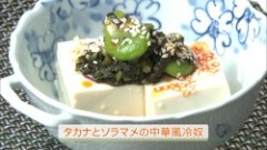 タカナとソラマメの中華風冷奴