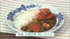 佐賀　台地の恵　カレーライス（４人分）