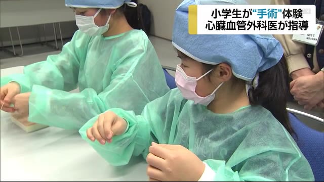 小学生が 手術 体験 心臓血管外科医が指導 佐賀県白石町 佐賀の