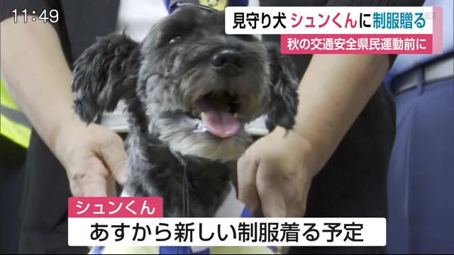 見守り犬シュンくんへ手作り制服贈られる 佐賀県 佐賀のニュース 天気 サガテレビ