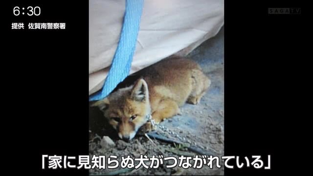 見知らぬ犬がつながれている と通報 実は 佐賀県 佐賀のニュース 天気 サガテレビ