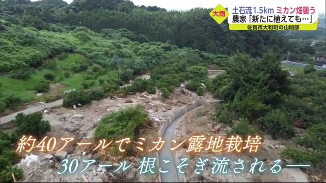 1.5kmの土石流がミカン畑に…二次被害も【佐賀県】