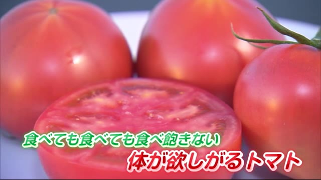 全国でグランプリに輝いた話題のトマト「体が欲しがるトマト」とは【佐賀県】