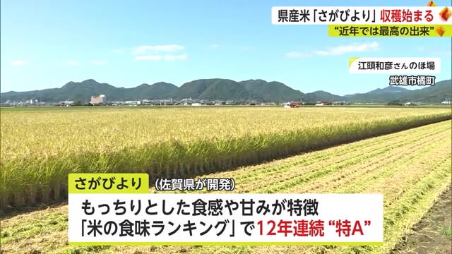 去年と雲泥の差…近年"最高の出来" 12年連続最高ランク「特A」さがびより収穫始まる【佐賀県】