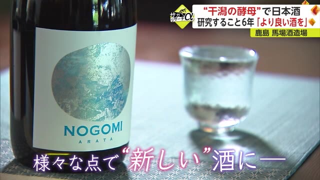 珍しい"干潟の酵母"で新しい日本酒完成！【佐賀県鹿島市】