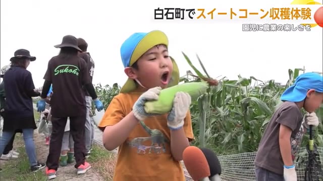 「自分で収穫したものを食べて」園児たちがスイートコーンの収穫を体験【佐賀県白石町】
