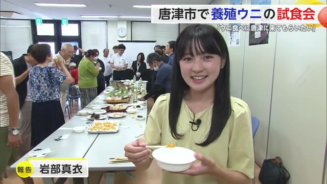 "養殖赤ウニの試食会" 飲食店や宿泊施設など関係者約30人が参加【佐賀県】