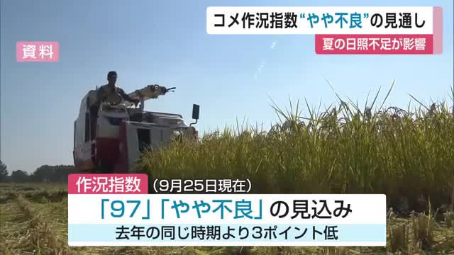 夏の日照不足の影響 コメの作況指数「97」「やや不良」となる見通し【佐賀県】