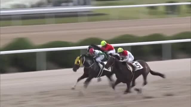 九州初開催　“ダート競馬の祭典”ＪＢＣが佐賀競馬場で開催　多くのファン詰めかける