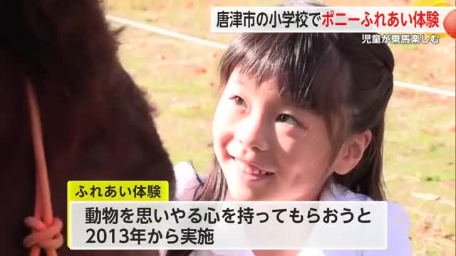 ポニーのふれあい体験 児童が乗馬やえさやりを楽しむ【佐賀県唐津市】