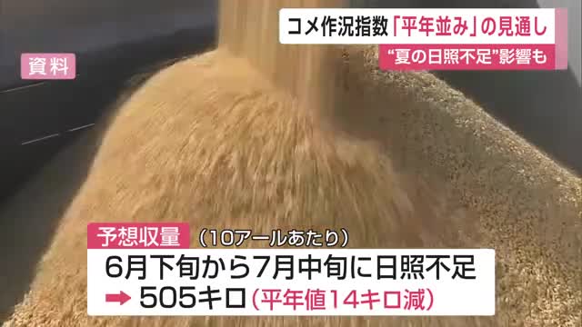 県産のコメの作柄を示す作況指数「99」と「平年並み」となる見通し【佐賀県】