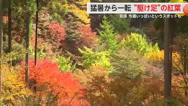 佐賀県の紅葉の様子をご紹介！急に冷え込んだ影響で一気に色づき進む【佐賀県】