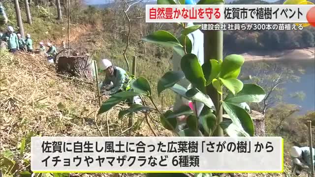 「自然豊かな佐賀の山を引き継いでいこう」松尾建設グループが約300本の木を植樹 【佐賀県】