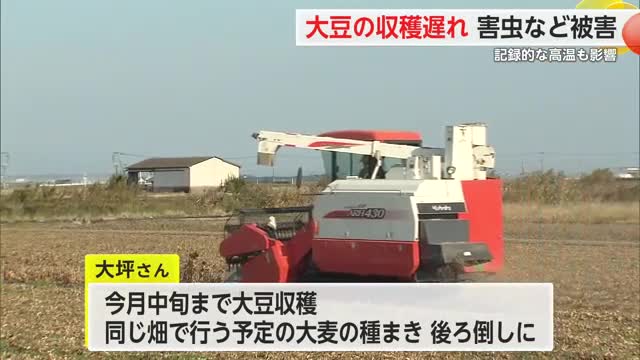 全国３位の収穫量をほこる県産大豆の収穫 害虫などの影響で収穫に遅れも【佐賀県】