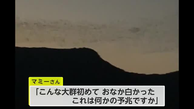 「これは何かの予兆ですか」空一面を真っ黒く覆ったのは【佐賀県小城市】