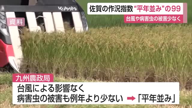 県内のコメの作況指数 今年は「平年並み」の99【佐賀県】