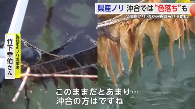 「不安しかない」県産ノリ 沖合では“色落ち”も 漁場の今…【佐賀県】