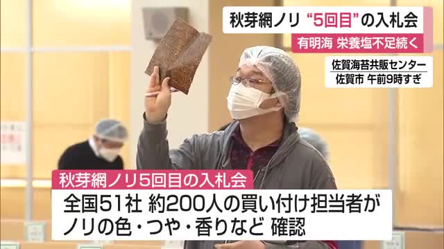 秋芽網ノリ 今季5回目の入札会 7118万枚を出品 全国から約200人の買い付け担当者【佐賀県】