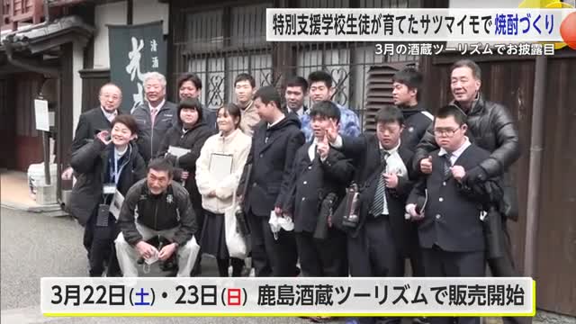 特別支援学校の生徒たちが育てたサツマイモで焼酎作り 3月の酒蔵ツーリズムでお披露目【佐賀県鹿島市】