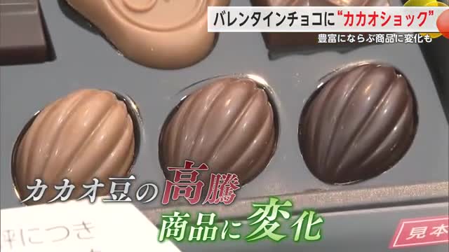 今年のバレンタイン売り場「カカオ豆」の高騰によりある変化が...【佐賀県】