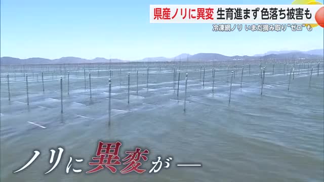 有明海　未だ冷凍網ノリの"摘み取りゼロ"の漁師も 現状を取材【佐賀県】