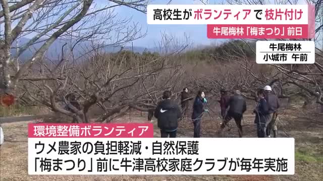 牛津高校　牛尾梅林「梅まつり」前に整備ボランティア【佐賀県】