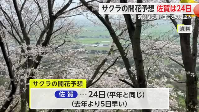 サクラの開花予想日 佐賀は3月24日 満開を迎えるのは4月1日ごろ【佐賀県】